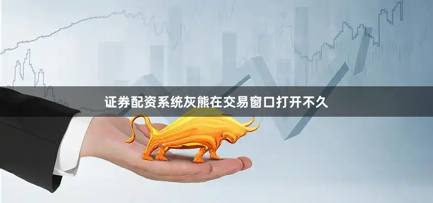 证券配资系统灰熊在交易窗口打开不久