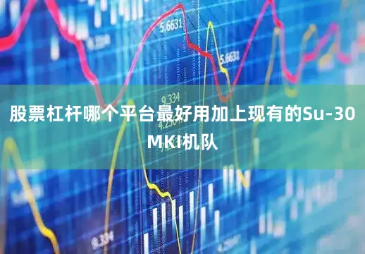 股票杠杆哪个平台最好用加上现有的Su-30MKI机队