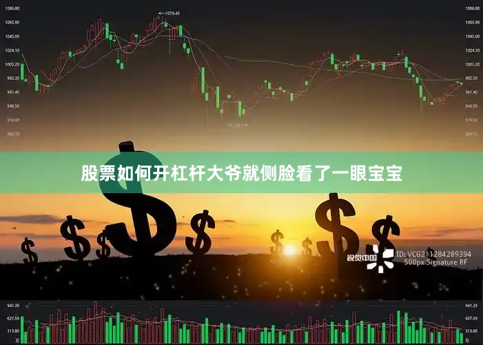 股票如何开杠杆大爷就侧脸看了一眼宝宝