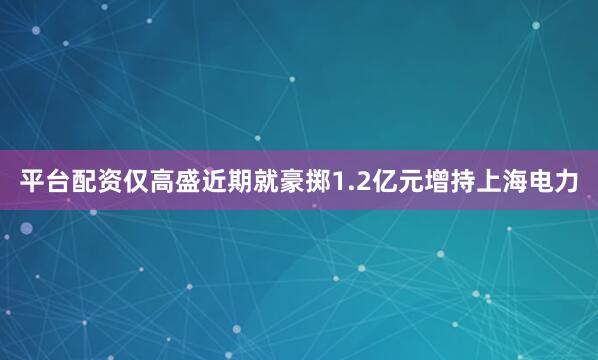 平台配资仅高盛近期就豪掷1.2亿元增持上海电力